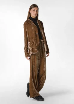 Fashion DEHA Velvet Blazer Brown Biscuit Brown
